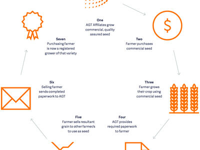 Seed Sharing Infographic Yellow