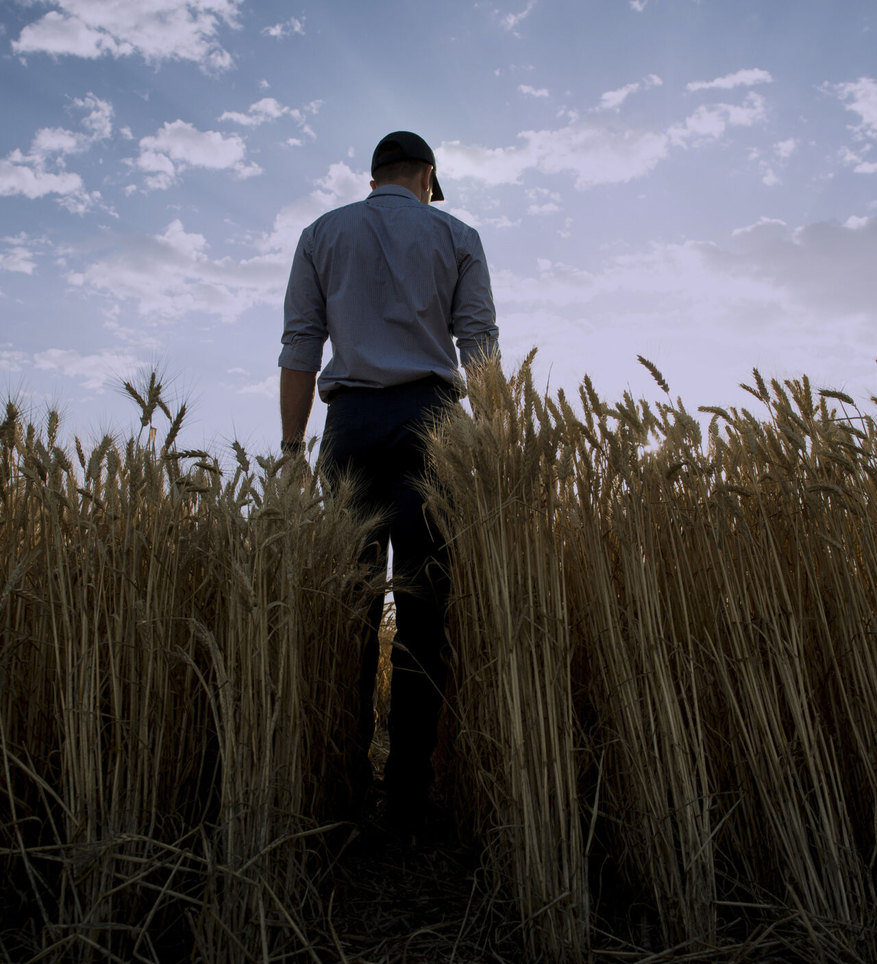 AGT Simple 3260 copy